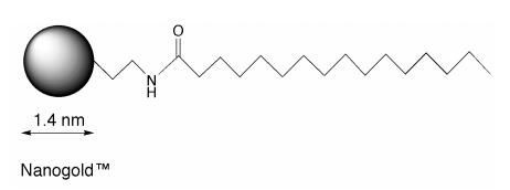 Nanoprobes 艾美捷Palmitoyl NANOGOLD使用说明 Nanoprobes 艾美捷Palmitoyl NANOGOLD使用说明