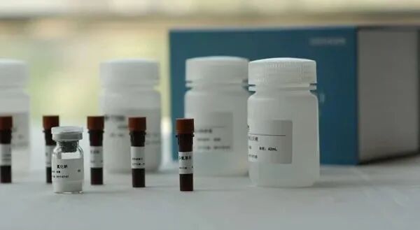 【新品】汇智泰康推出微量波动Ames试验（Mini-Ames）试剂盒