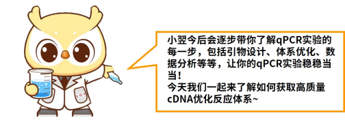 涨知识 | qPCR专场二：如何获取高质量的cDNA模板？
