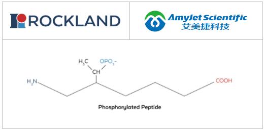 Rockland丨Rockland多克隆抗体阶段执行方案