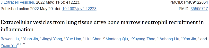 1区17分+，一种分离肺组织高质量外泌体的有效方法，赶紧学起来！