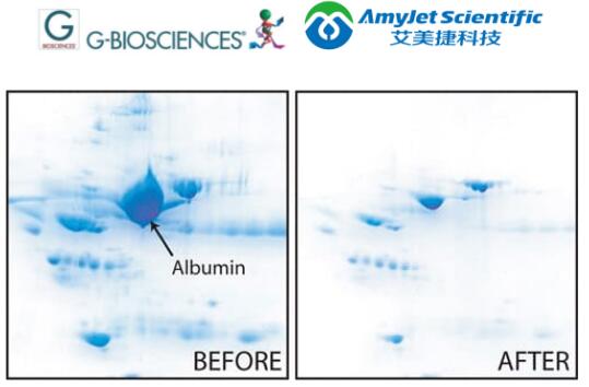 分馏和浓缩试剂盒素丨G-Biosciences 白蛋白OUT™方案   