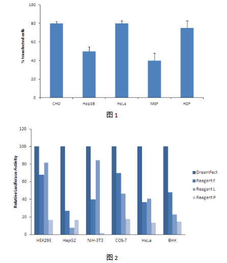 艾美捷多种细胞类型DREAMFECT 500 转染试剂方案