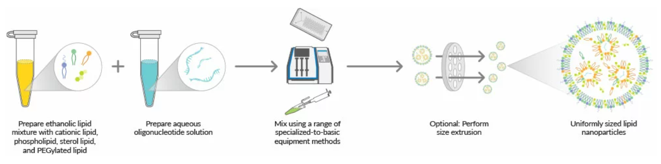 解析：脂质纳米颗粒（LNP）的设计流程及制备