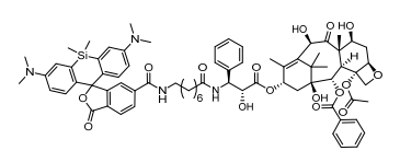 SiR-微管蛋白试剂盒，限时促销，科研好物轻松购