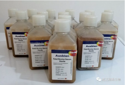 进口血清较国产血清的优势及不足