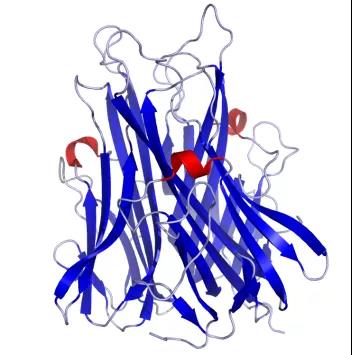 TNF-α：一个莫得感情的肿瘤杀手