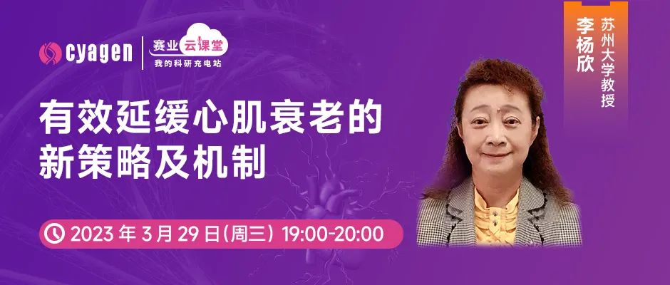 心脏保质期只有40年？这项研究带你走近「心肌衰老」那些事