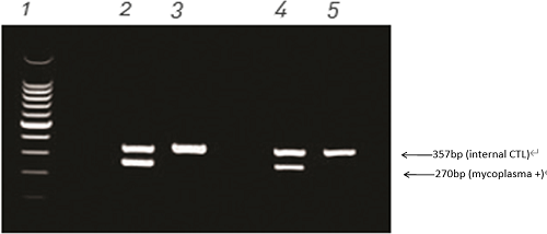 识破各种污染，拯救您的细胞