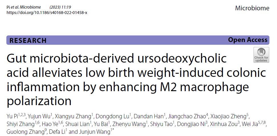 客户案例 | 又双叒是UDCA！胆汁酸谱技术助力中国农业大学团队在猪肠道研究中取得新突破！