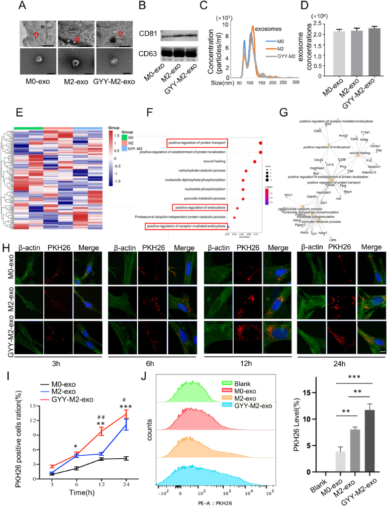 外泌体技术服务 外泌体技术服务