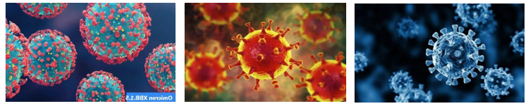 新发现！CDK抑制剂有望被用作抗新冠病毒药物