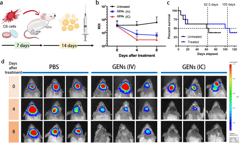 植物外泌体提取鉴定