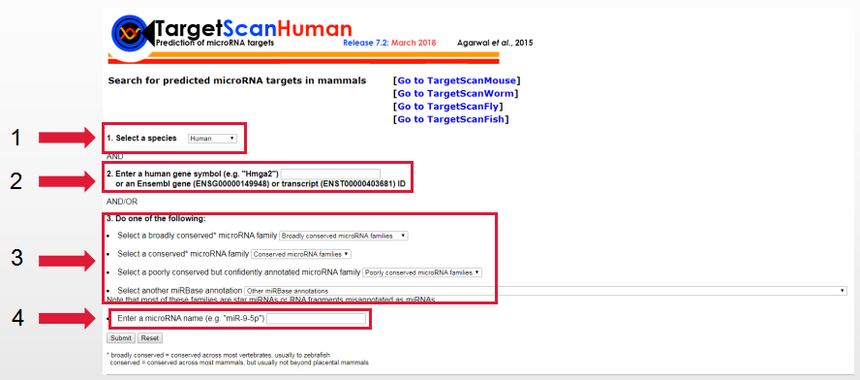 一文学会microRNA靶点预测