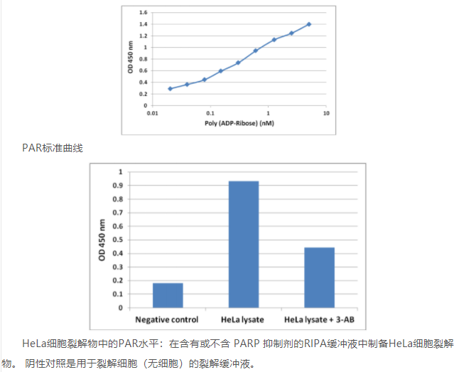 【试剂制备】Cell Biolabs 艾美捷多聚ADP-核糖ELISA检测试剂盒