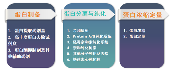 G-Biosciences杯芳烃表面活性剂，促销风暴来袭