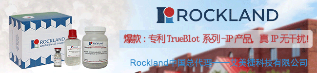 Rockland代理联系方式