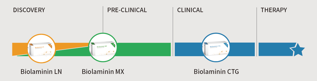 诚招代理商 | 干细胞研究专用BioLamina人类重组层粘连蛋白
