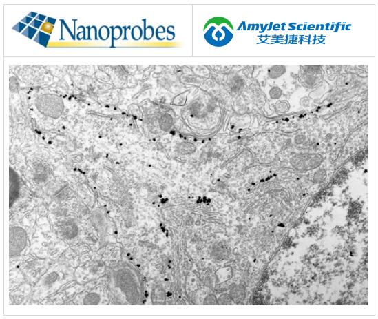 Nanoprobes丨HQ Silver 银增强试剂解决方案 Nanoprobes丨HQ Silver 银增强试剂解决方案