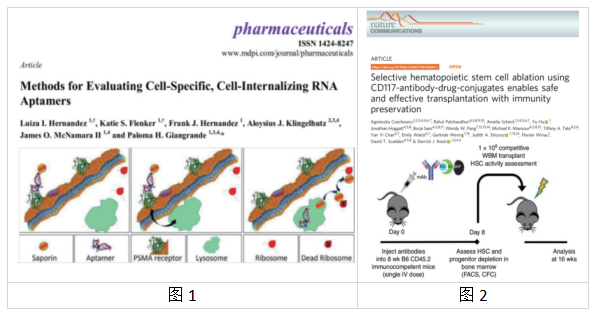 艾美捷ZAP生物素化内化试剂盒适用靶向物类别及实例展示