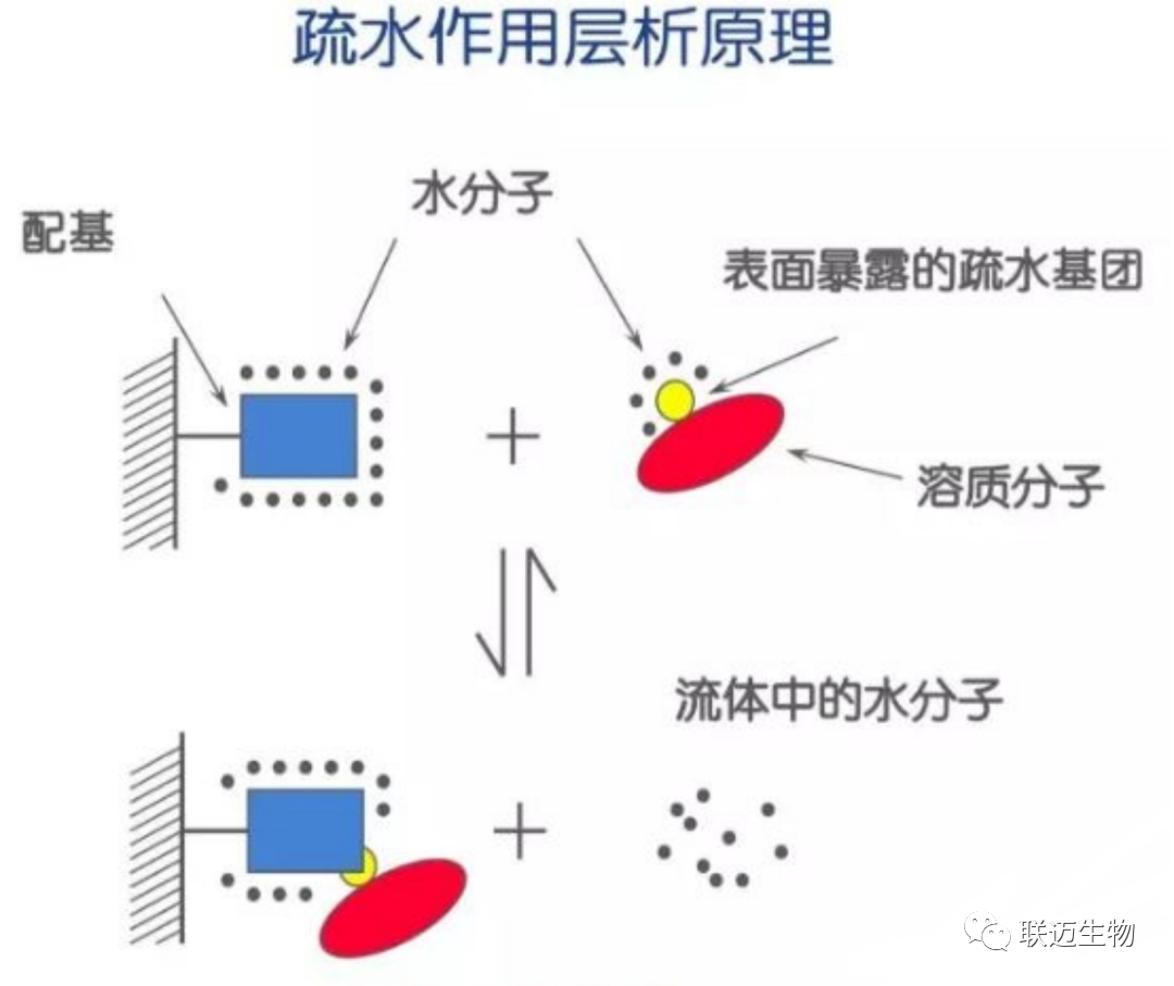 微信图片_20220602143757.png 图片