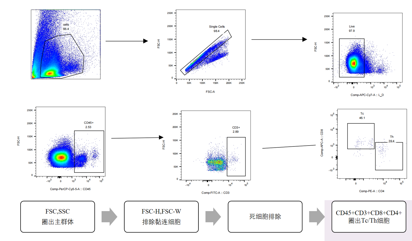 LabEx 加油站——神经炎症的免疫学解决方案