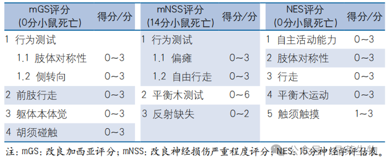 新闻图片13