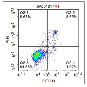  Annexin V-FITC/AF647