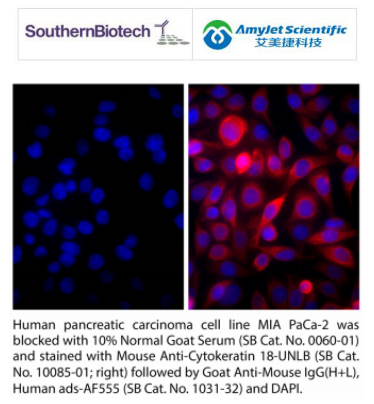 SouthernBiotech 艾美捷正常山羊血清说明书 SouthernBiotech 艾美捷正常山羊血清说明书