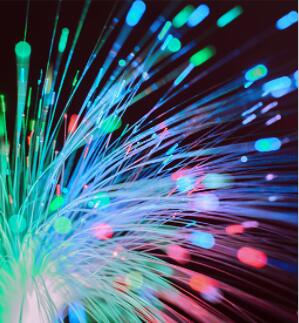 Jackson艾美捷Fab抗Fc片段二级抗体及使用FabuLight的技术提示