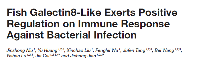 文献分享：鱼样半乳糖凝集素阳性调节针对细菌感染的免疫反应