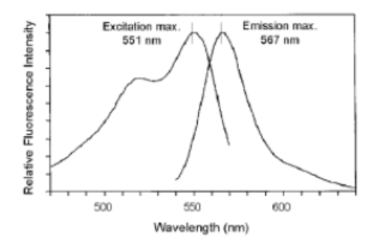 PKH26红色荧光细胞链接试剂盒操作注意事项