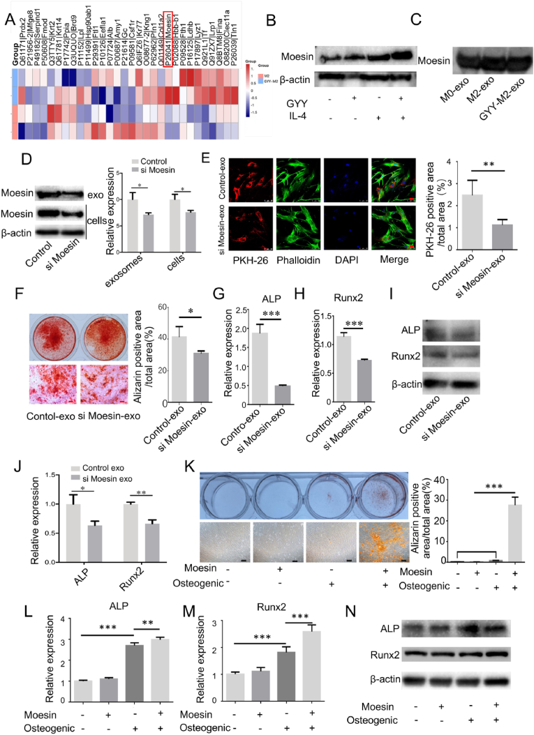 外泌体技术服务 外泌体技术服务