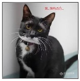 {2D20F224-89CE-4CE5-B225-961DF219AD3F}.bmp {2D20F224-89CE-4CE5-B225-961DF219AD3F}.bmp