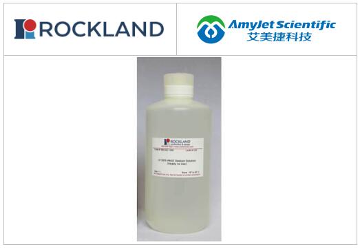 Rockland蛋白质印迹试剂丨Rockland SDS-PAGE脱色液 Rockland蛋白质印迹试剂丨Rockland SDS-PAGE脱色液
