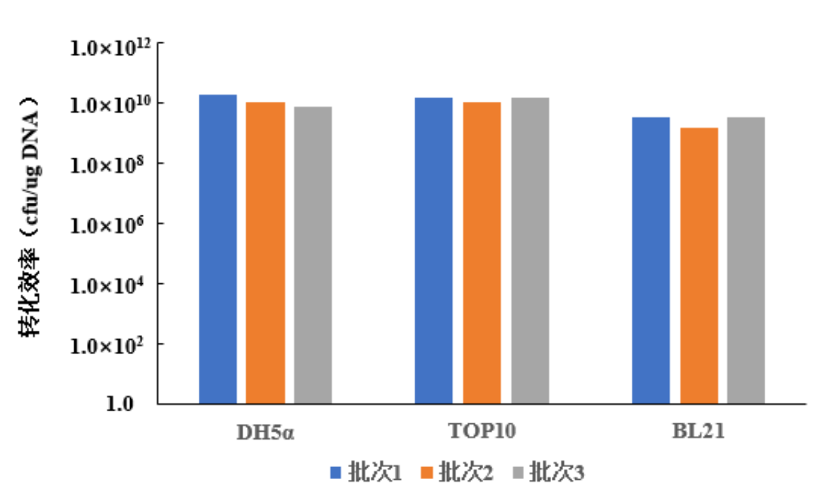 涨知识 | 克隆专题五：分子克隆转化方法