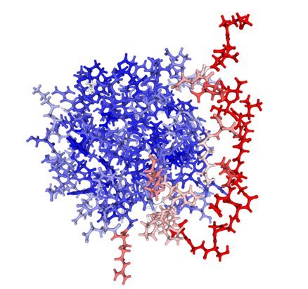 Elabscience细胞因子专题|生长因子知多少