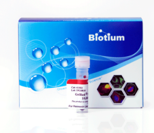 Biotium丨艾美捷GelRed核酸凝胶染色剂DMSO溶液方案