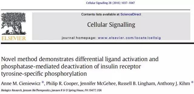 胰岛素受体靶点高通量药物筛选方案