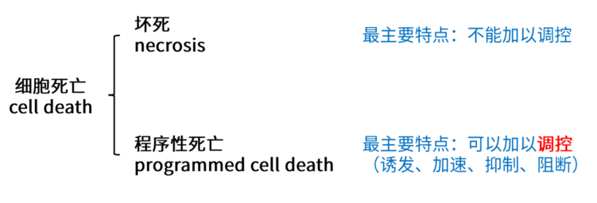 1699853620482754.png