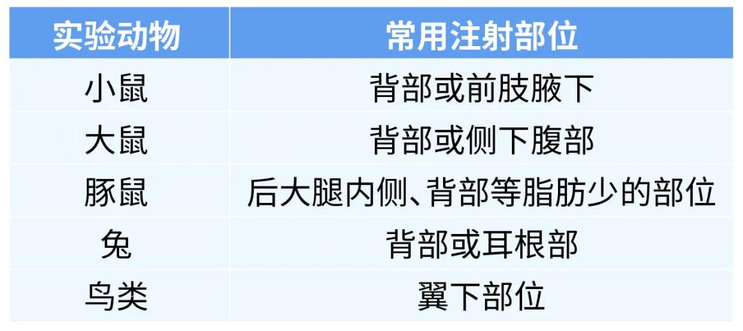 涨知识！！！动物体内给药大实验中的小科普（注射给药法）