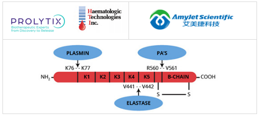 Prolytix丨Haematologic Technologies纤溶酶原方案 Prolytix丨Haematologic Technologies纤溶酶原方案
