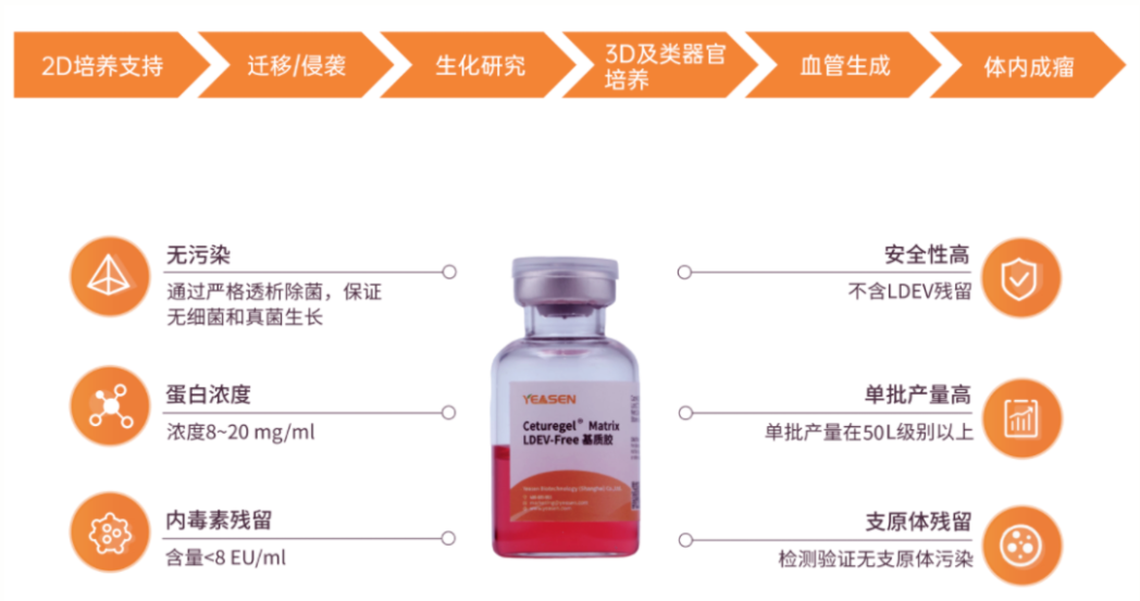 三亚拍了拍您，邀您共赴类器官和细胞产业高峰论坛！
