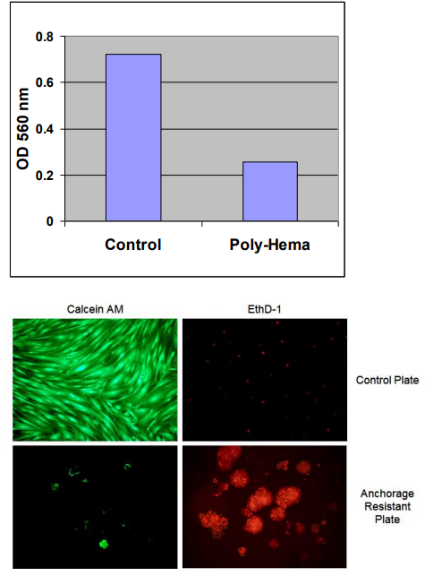 CytoSelect 24孔板细胞失巢凋亡分析试剂盒-抢购倒计时