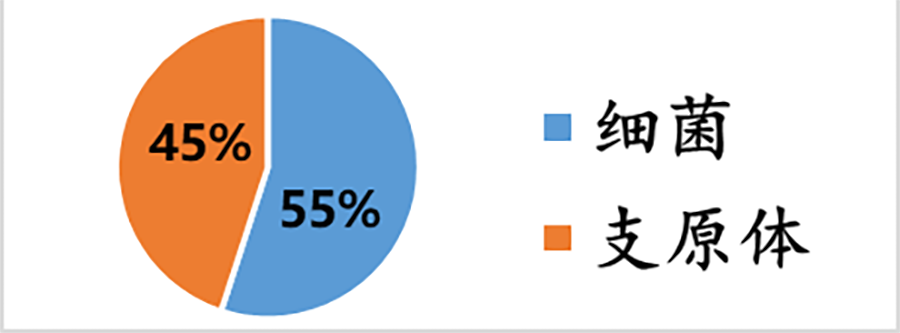 揭开黑胶虫的神秘面纱（下）