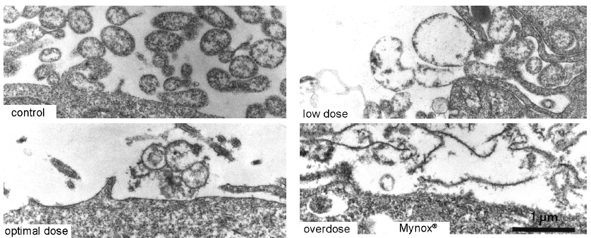 如何证明支原体祛除喷雾的效果