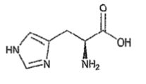 组氨酸的基本信息