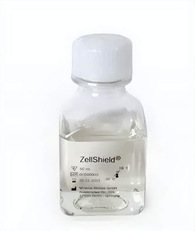 让人头疼的支原体污染如何去除（普通细胞）？