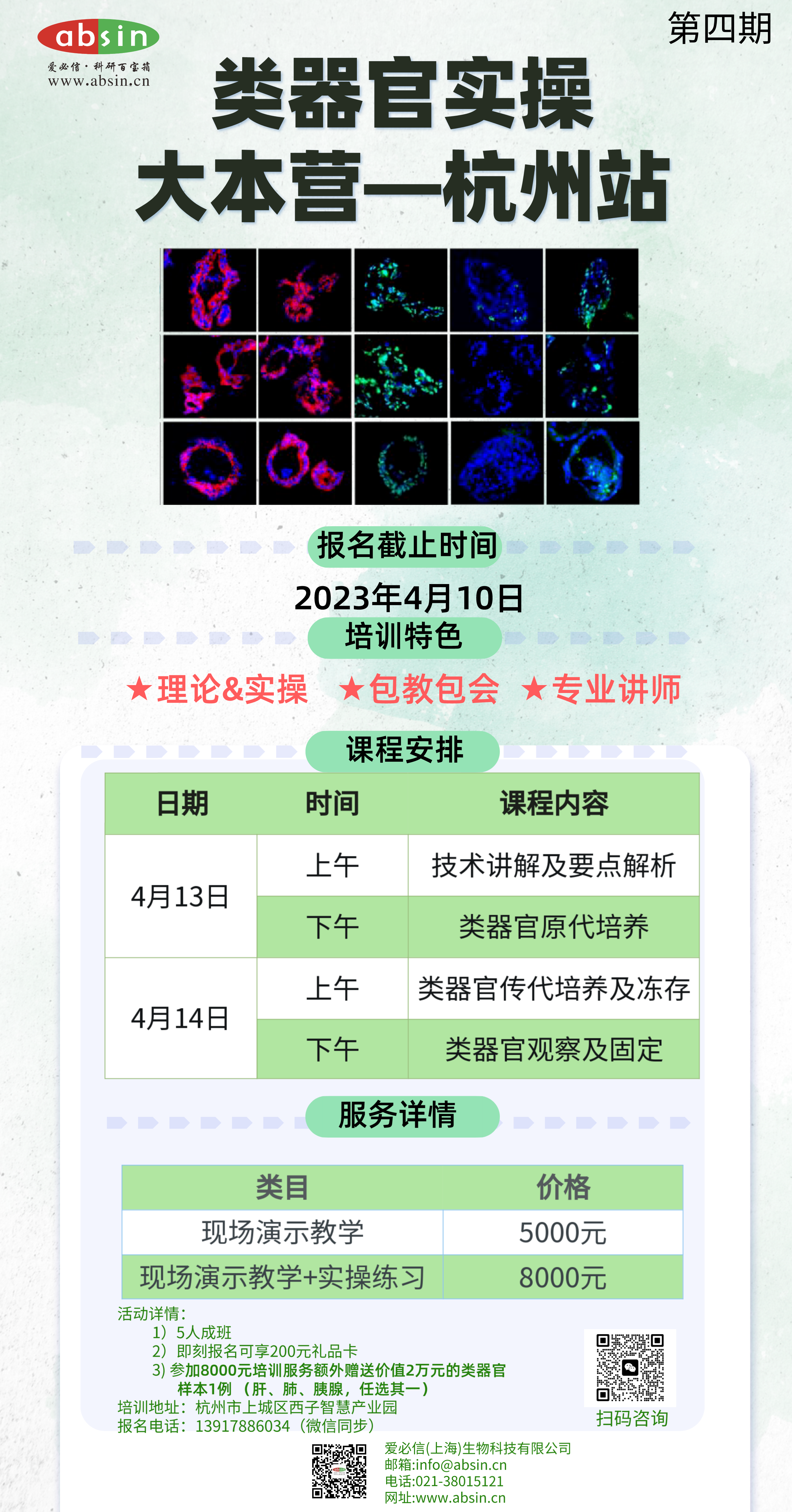 爱必信Absin类器官实操大本营通知（第四期）