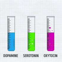 【激素大全】Part 1：多肽（蛋白）类激素